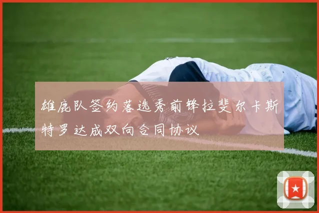 雄鹿队签约落选秀前锋拉斐尔卡斯特罗达成双向合同协议