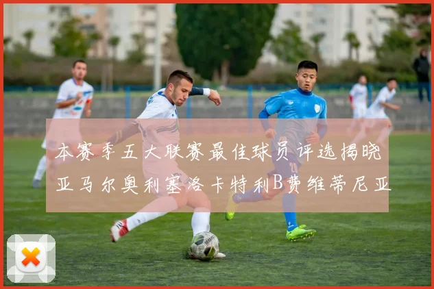 本赛季五大联赛最佳球员评选揭晓亚马尔奥利塞洛卡特利B费维蒂尼亚入围